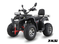 Квадроцикл Grizzly 200 Premium