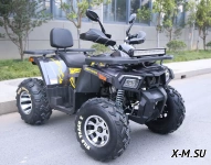 Квадроцикл MOTOLAND (МОТОЛЕНД) VOX200 WILD TRACK X PRO (баланс. вал)