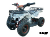 Квадроцикл ATV Target Next