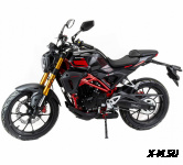 Мотоцикл дорожный MOTOLAND (МОТОЛЕНД) 501 (172FMM-5/PR250)