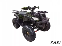 Квадроцикл WELS THUNDER 200cc HS