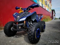 Квадроцикл MOTOLAND (МОТОЛЕНД) 125 COYOTE PRO