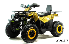 Квадроцикл MOTOLAND (МОТОЛЕНД) VOX200 WILD TRACK LUX ( баланс. вал)