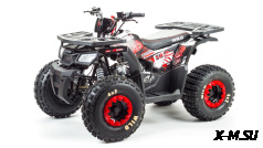 Квадроцикл PROMAX WILD 175