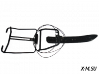 Лыжный модуль с дистанционным управлением Райда