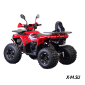 Квадроцикл JM-VS125X2 125 куб.см