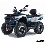 Квадроцикл MOTOLAND (МОТОЛЕНД) 300 MAX X (с ПСМ)