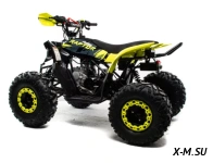 Квадроцикл MOTOLAND (МОТОЛЕНД) 125 RAPTOR A