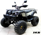Квадроцикл ATV Avenger Tungus 250