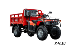 Квадроцикл CJ Termite 350