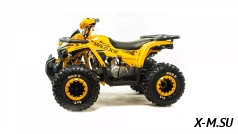 Квадроцикл MOTOLAND (МОТОЛЕНД) 125 WILD X