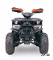 Квадроцикл  YACOTA SIRIUS 110			 			