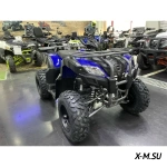 Квадроцикл IRIDE WOLF 200