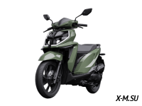 Скутер FAIDET Fresco 200 (49)